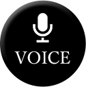 voice
