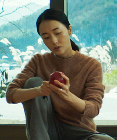 イ・ジョンヒョン／ヘジュンの妻、アン・ジョンアン